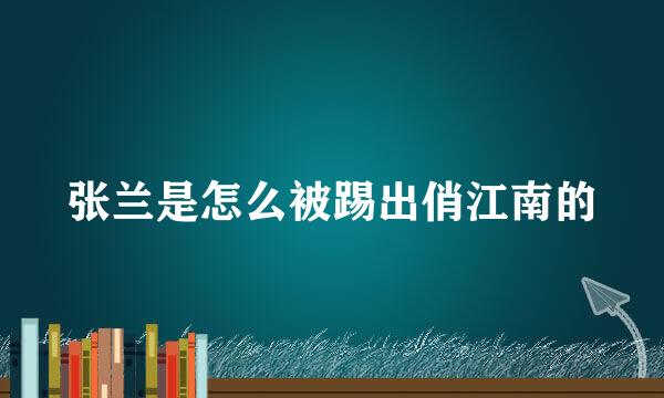 张兰是怎么被踢出俏江南的