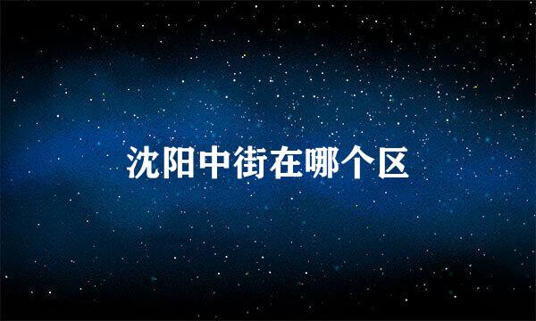 沈阳中街在哪个区