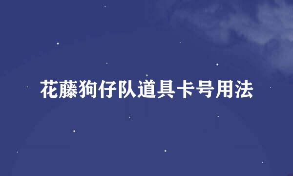花藤狗仔队道具卡号用法