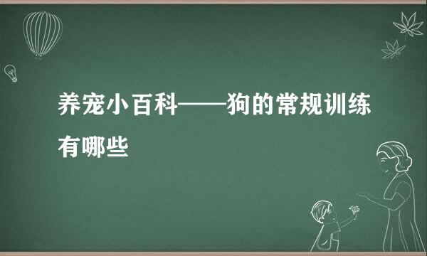 养宠小百科——狗的常规训练有哪些