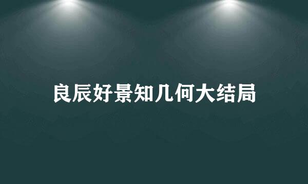 良辰好景知几何大结局