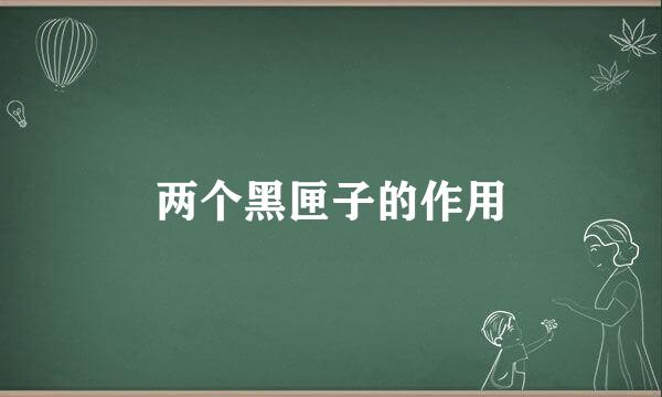 两个黑匣子的作用