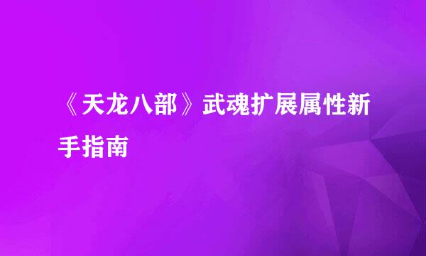 《天龙八部》武魂扩展属性新手指南