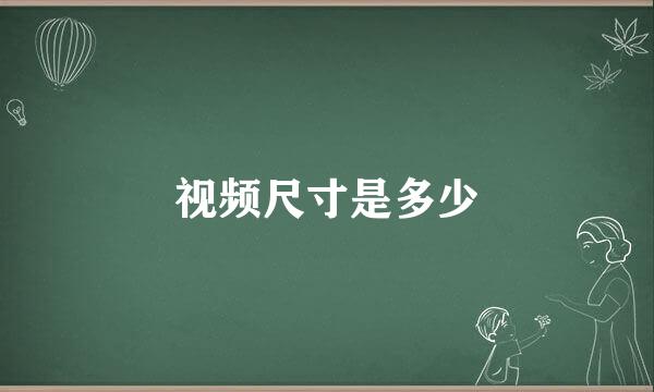 视频尺寸是多少