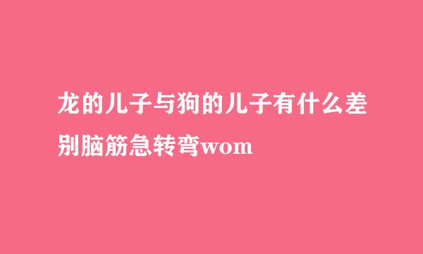 龙的儿子与狗的儿子有什么差别脑筋急转弯wom