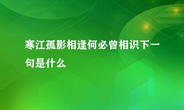 寒江孤影相逢何必曾相识下一句是什么