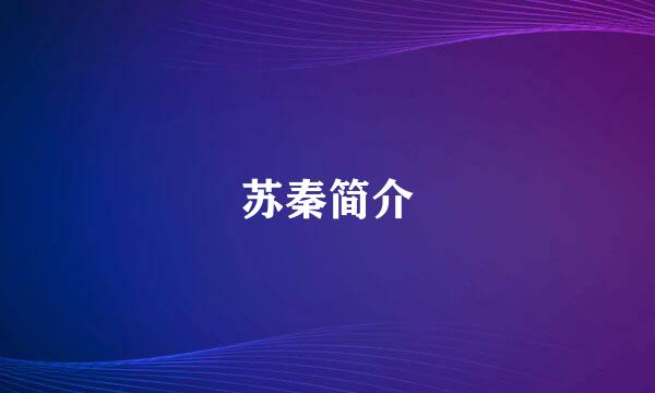 苏秦简介