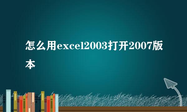 怎么用excel2003打开2007版本