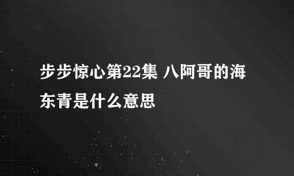 步步惊心第22集 八阿哥的海东青是什么意思