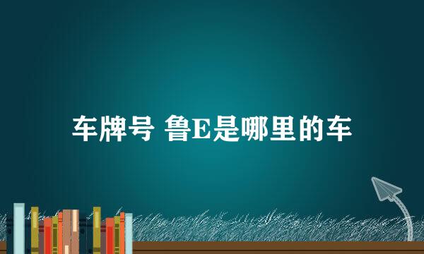 车牌号 鲁E是哪里的车