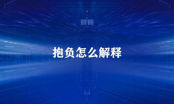 抱负怎么解释