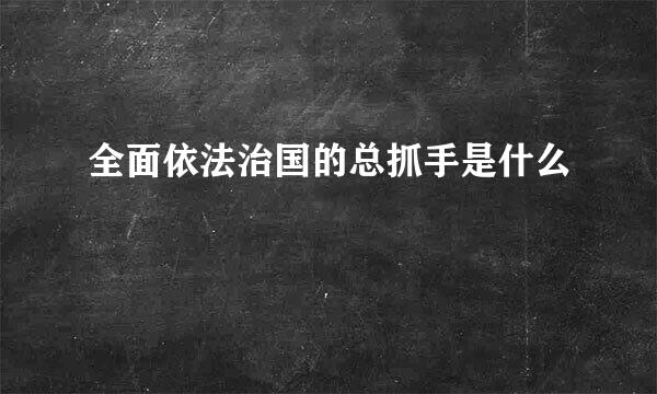 全面依法治国的总抓手是什么