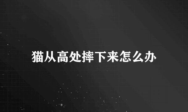 猫从高处摔下来怎么办