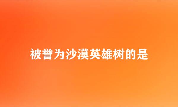 被誉为沙漠英雄树的是