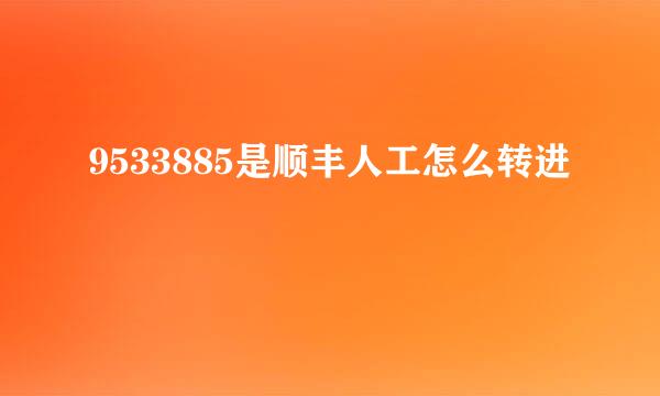 9533885是顺丰人工怎么转进