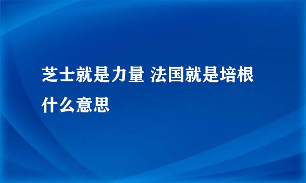 芝士就是力量 法国就是培根什么意思