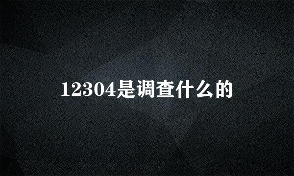 12304是调查什么的