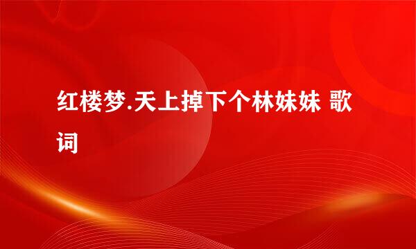 红楼梦.天上掉下个林妹妹 歌词