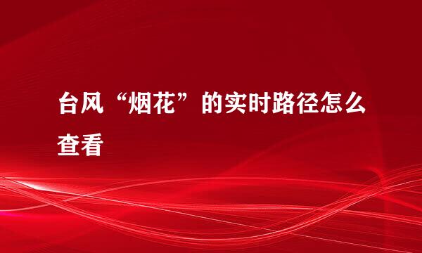 台风“烟花”的实时路径怎么查看