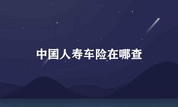 中国人寿车险在哪查