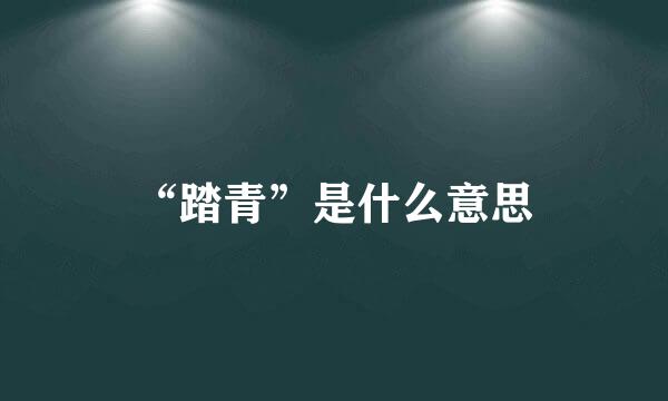“踏青”是什么意思