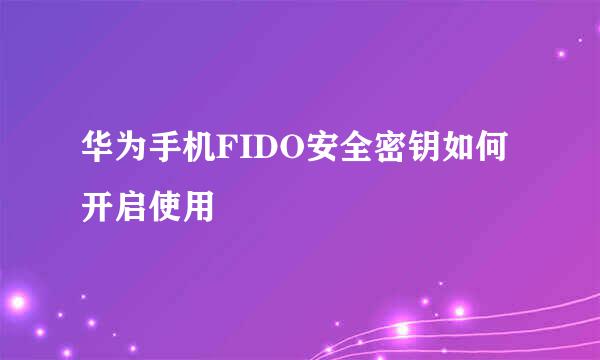 华为手机FIDO安全密钥如何开启使用