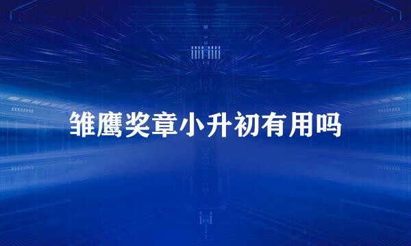 雏鹰奖章小升初有用吗