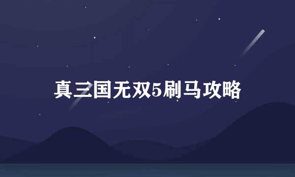 真三国无双5刷马攻略