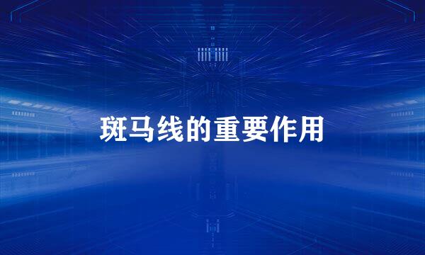 斑马线的重要作用