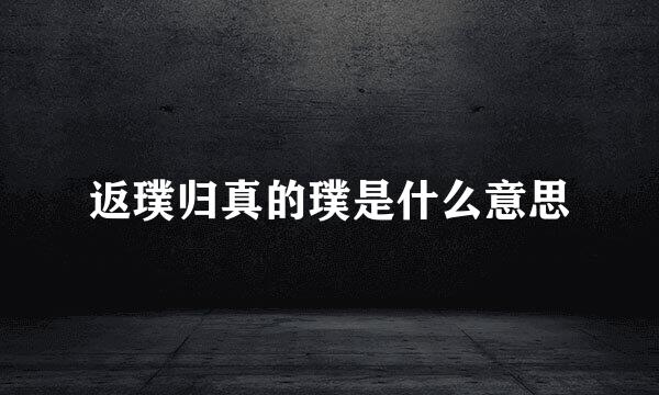 返璞归真的璞是什么意思