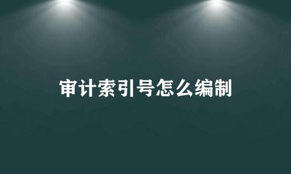 审计索引号怎么编制
