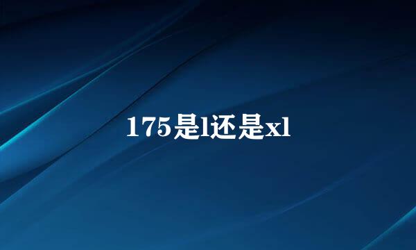 175是l还是xl