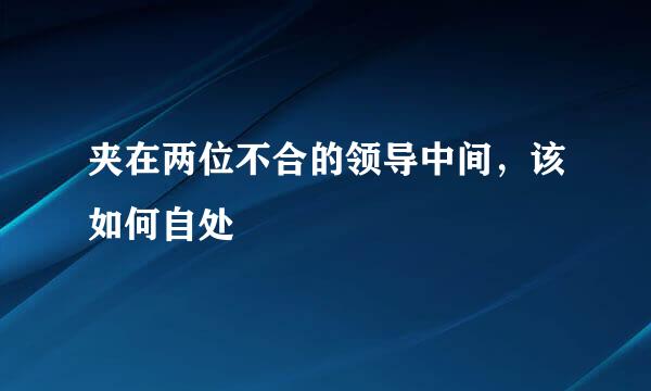 夹在两位不合的领导中间，该如何自处