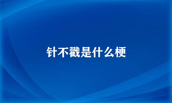 针不戳是什么梗