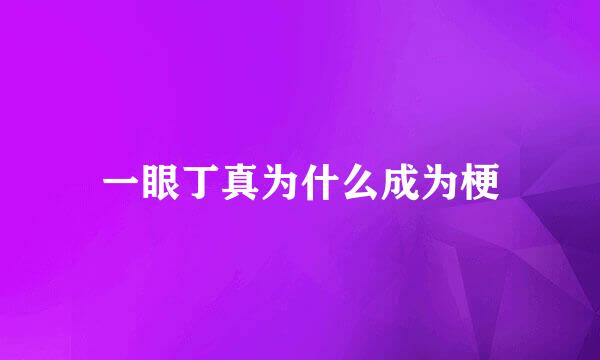 一眼丁真为什么成为梗