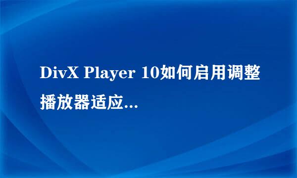 DivX Player 10如何启用调整播放器适应视频尺寸