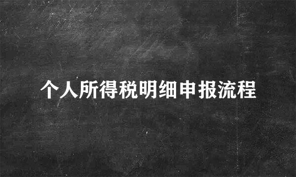 个人所得税明细申报流程