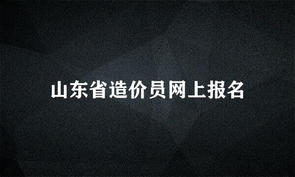 山东省造价员网上报名