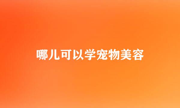 哪儿可以学宠物美容