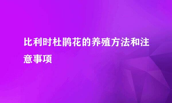 比利时杜鹃花的养殖方法和注意事项