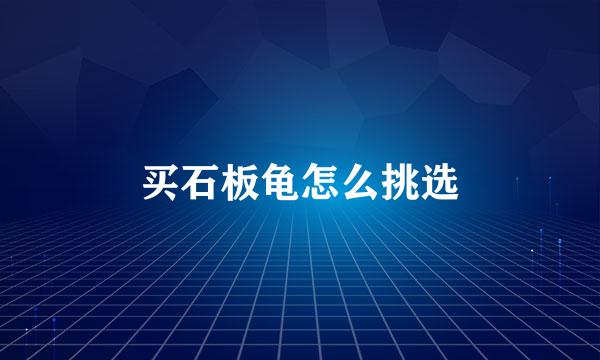 买石板龟怎么挑选