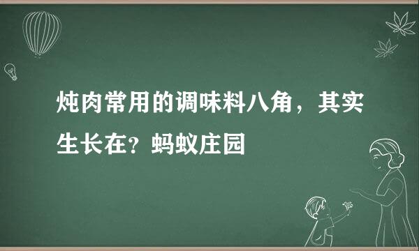 炖肉常用的调味料八角，其实生长在？蚂蚁庄园