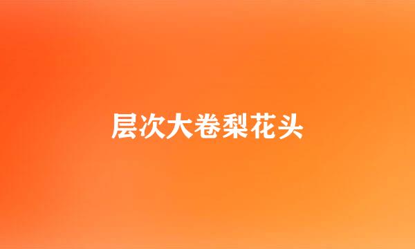 层次大卷梨花头