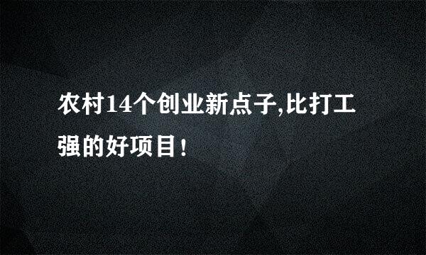 农村14个创业新点子,比打工强的好项目！