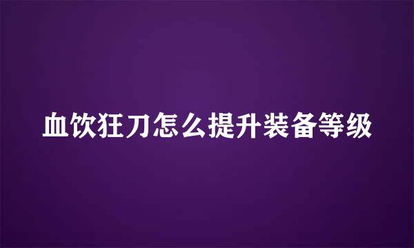 血饮狂刀怎么提升装备等级