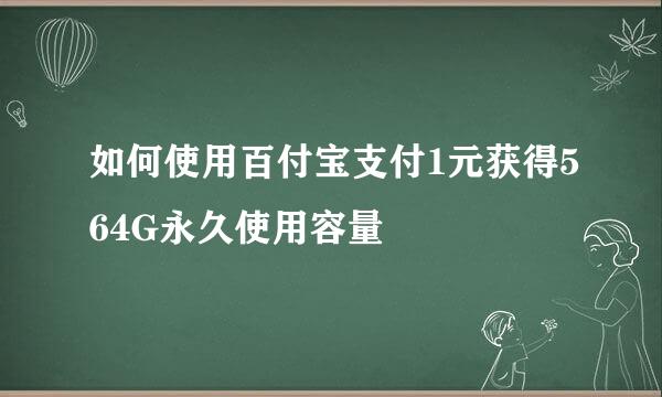 如何使用百付宝支付1元获得564G永久使用容量