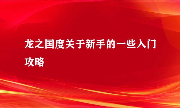 龙之国度关于新手的一些入门攻略