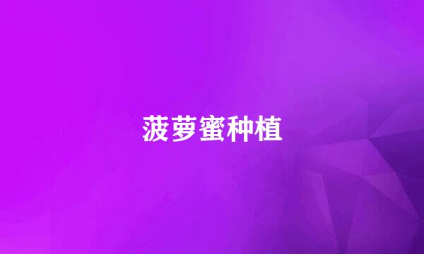 菠萝蜜种植