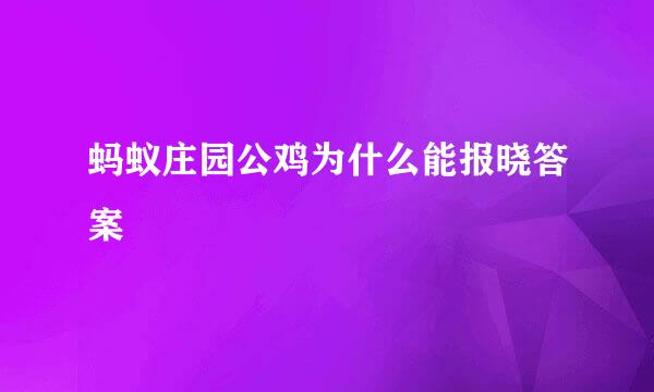 蚂蚁庄园公鸡为什么能报晓答案
