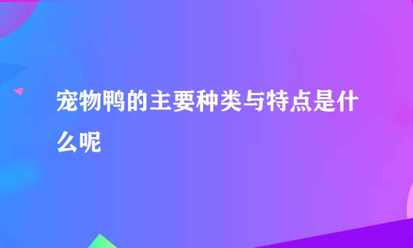 宠物鸭的主要种类与特点是什么呢